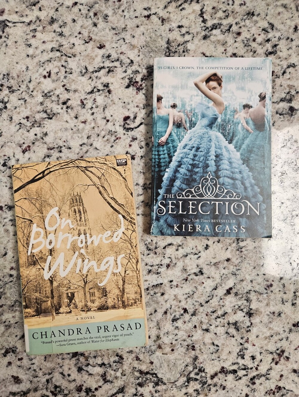 BOOK BUNDLE! The Selection by Kiera Cass and On Borrowed Wings By Chandra Prasad